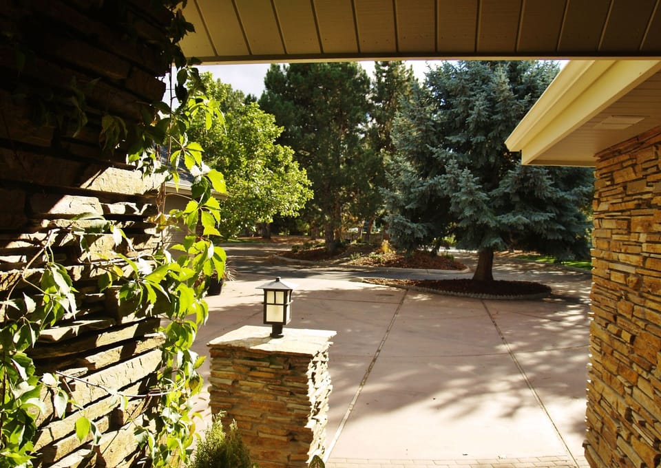 View from the front door. Circular drive with forest setting. Plenty of parking.