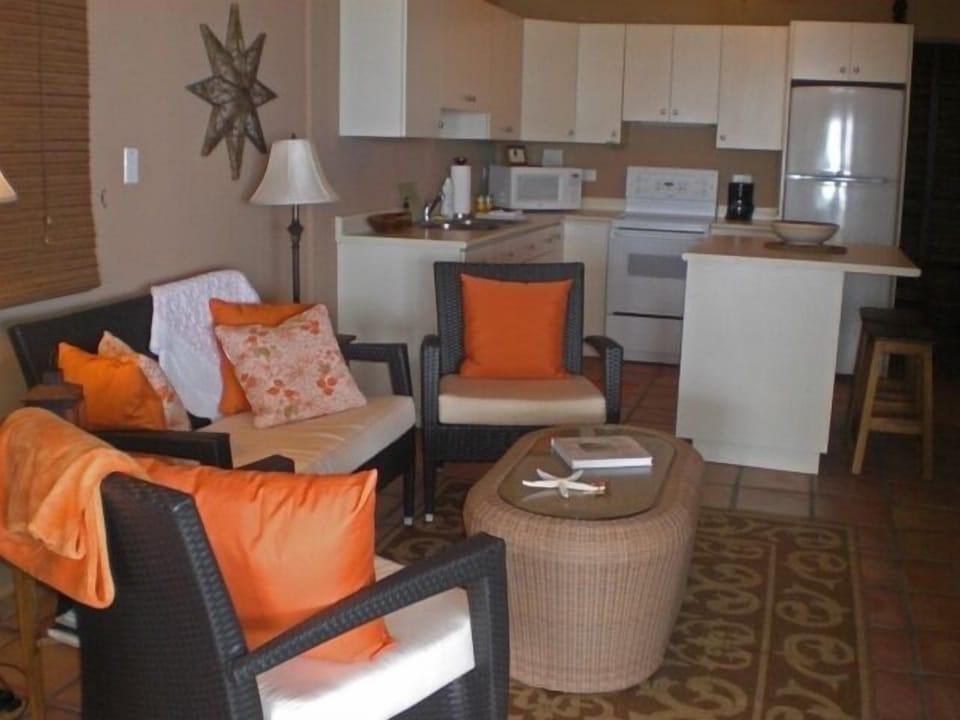 1 BR Apartment