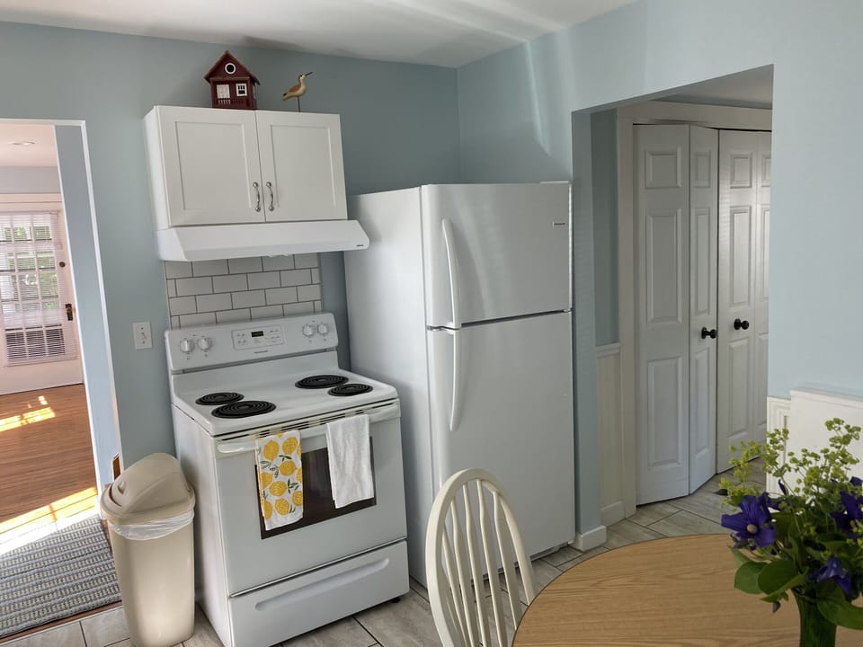 Kitchen- electric oven and refrigerator. 