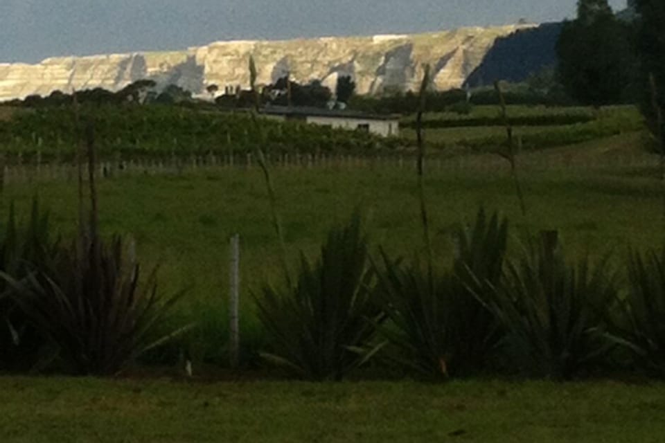 the Cape