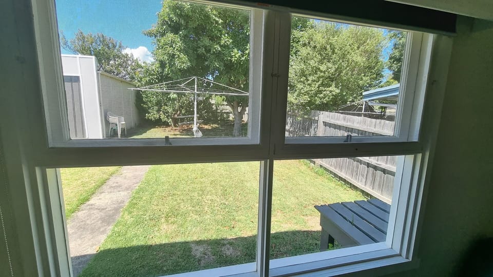 Sunroom view of backyard