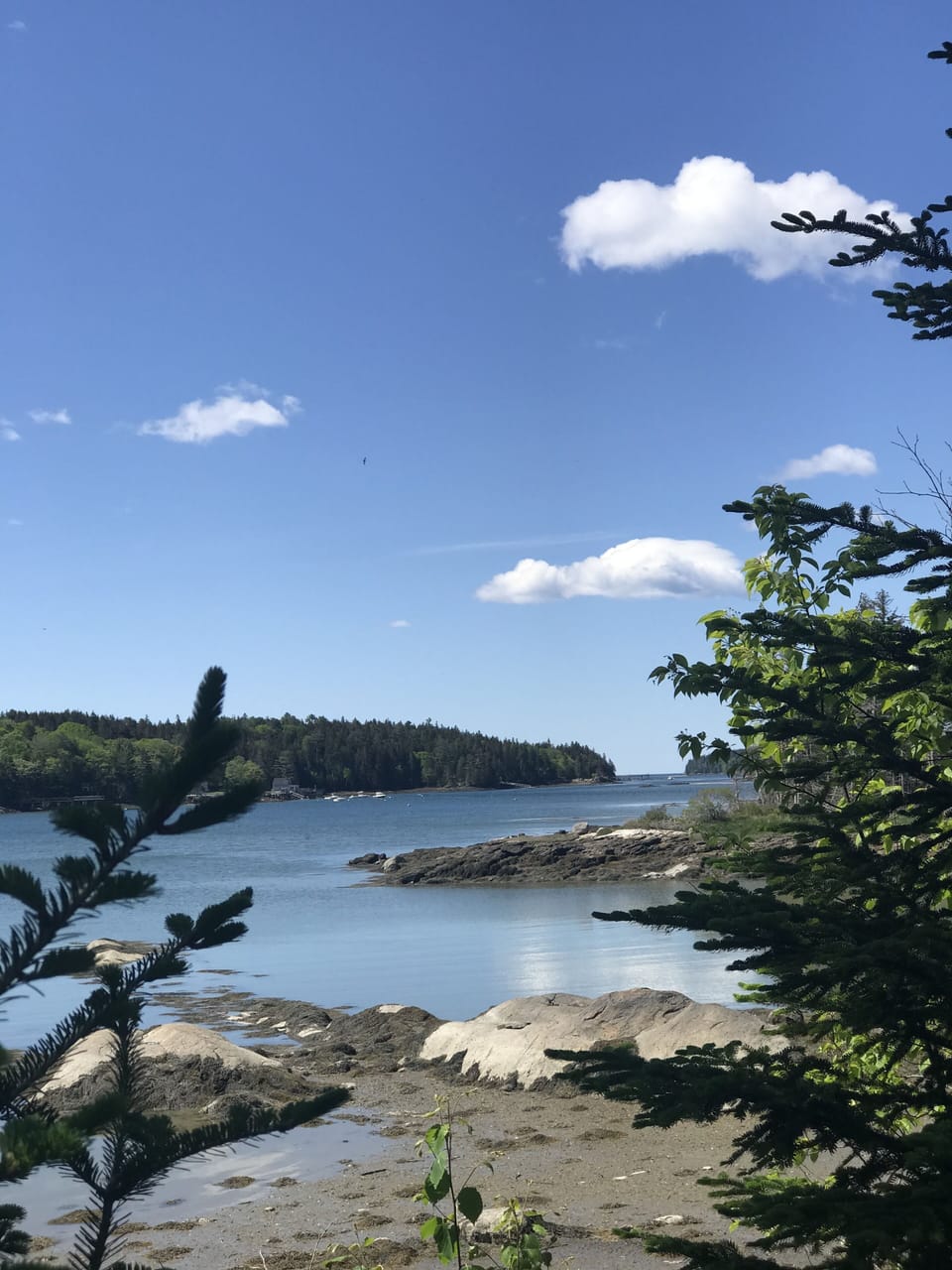 View south to the opening of Hornbarn Cove