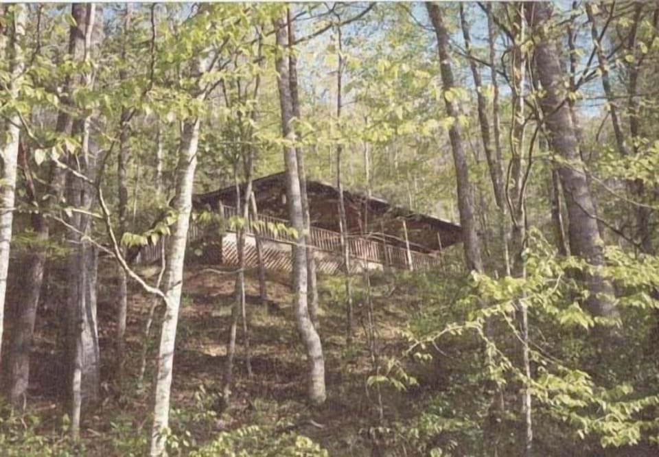 Looking up at cabin from stream below cabin.
