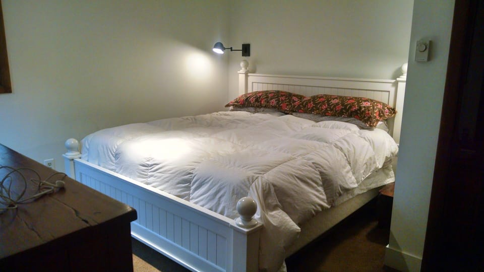 Bedroom 1: king bed