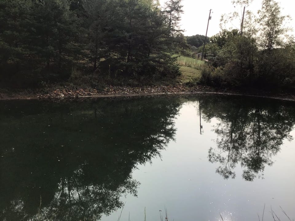 Lake