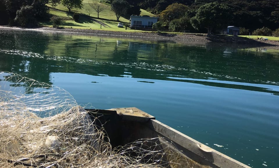 Heading back to the bach with the net and some fish.