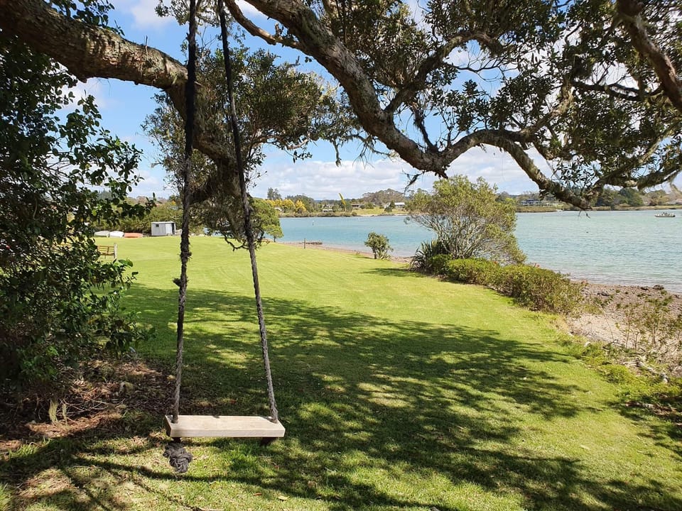 Swing in Pohutukawa tree