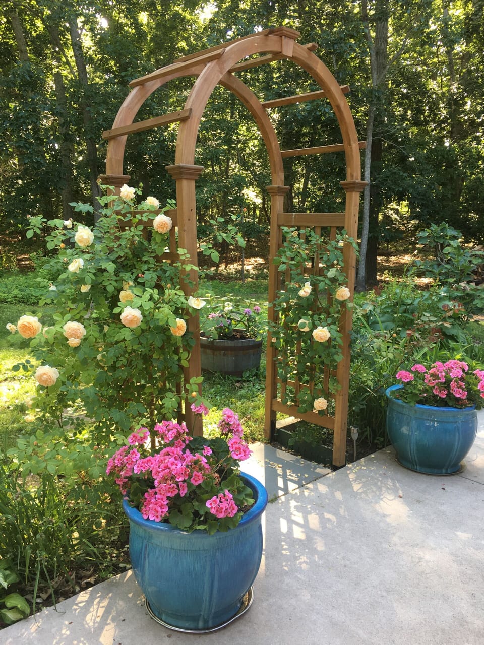 Rose Arbor