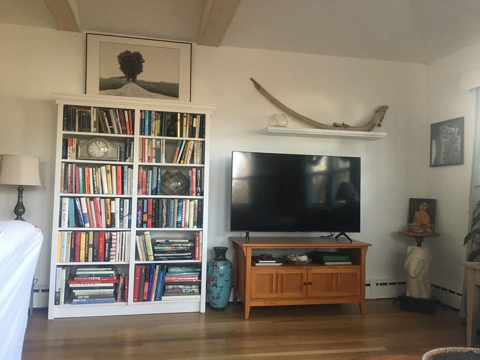 TV/Library