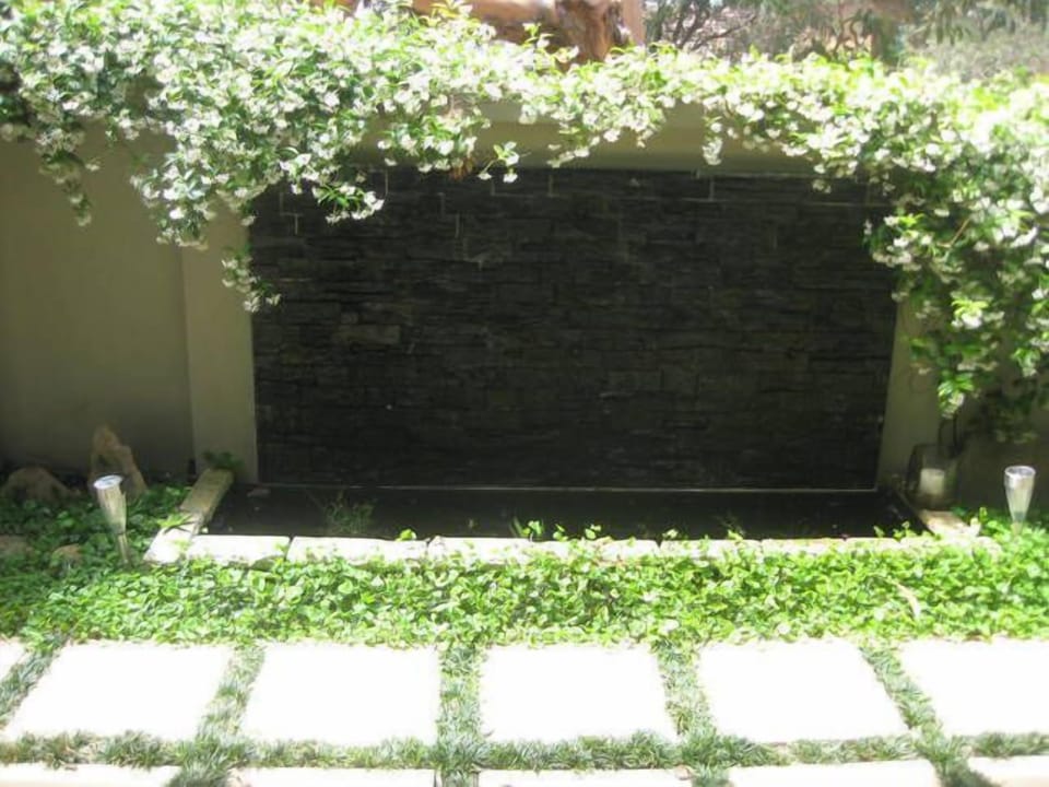 Waterfall and fish pond