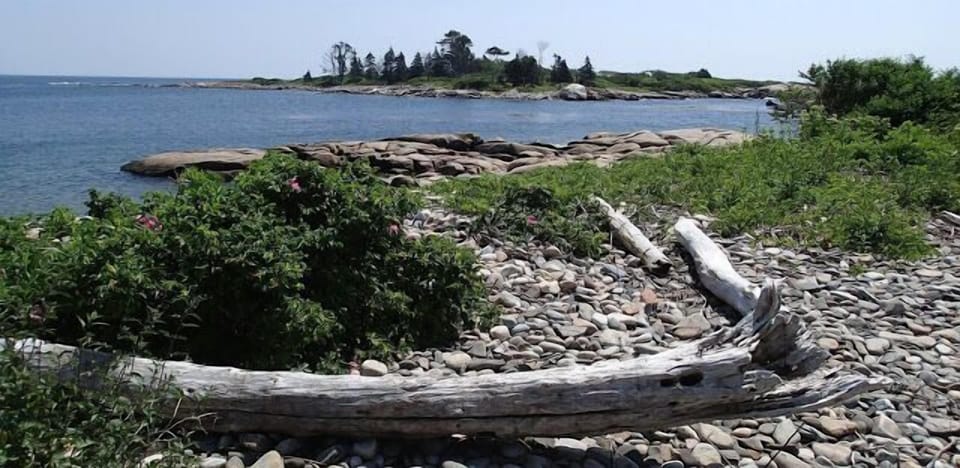 Timber Point walking trail....2 minutes away