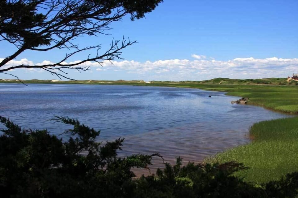 The Marsh