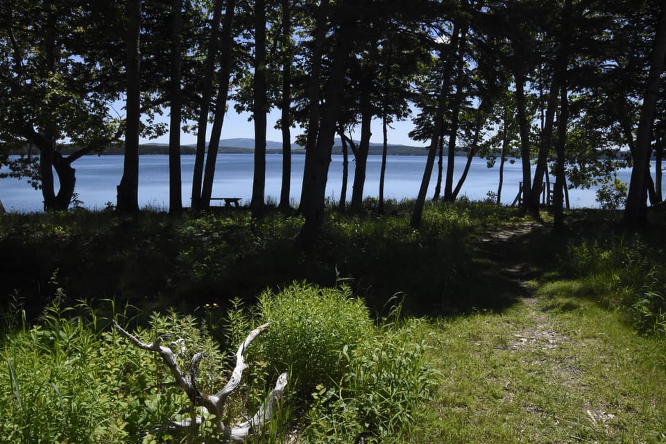 A short path to the shore. Steps down to shore and kayak ramp (rent your own).
