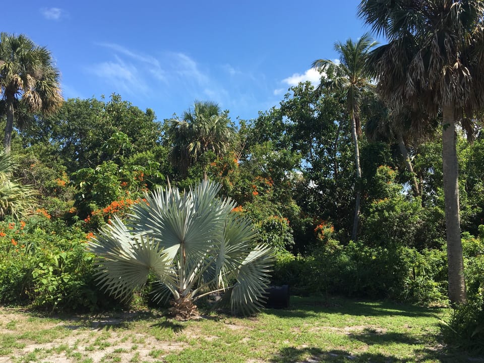 private back yard