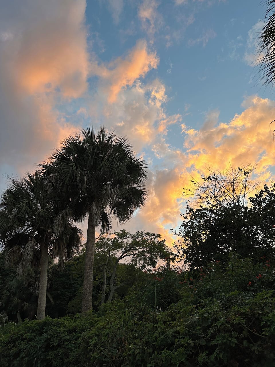sunset on clouds looking east from the back porch