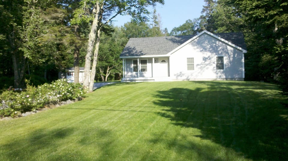 A large front yard and an even bigger back yard to play in.