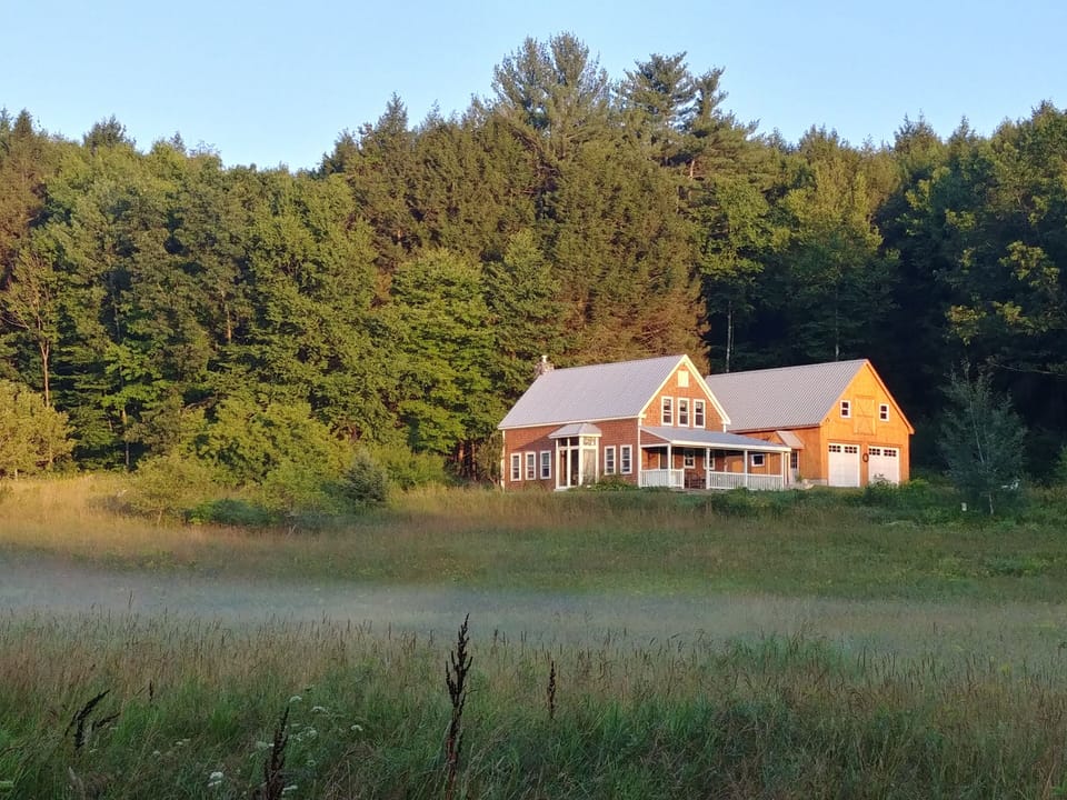 Misty meadow