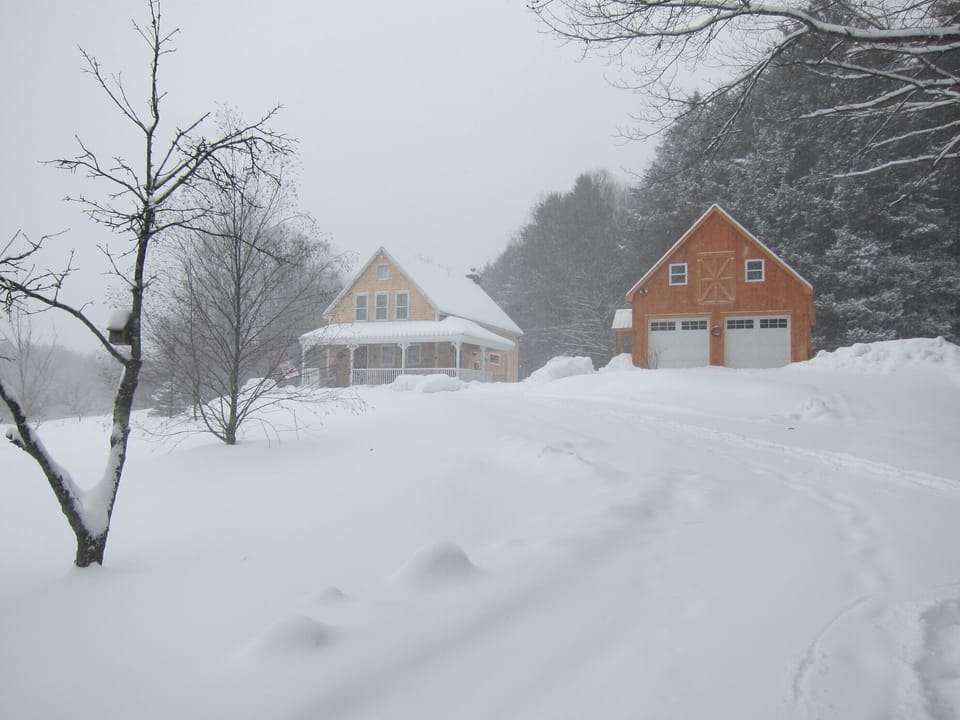 Snowy morning
