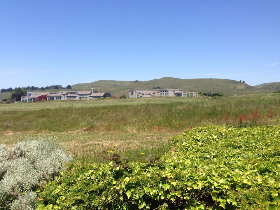 Our view from our great room and patio- look for wild life passing by.