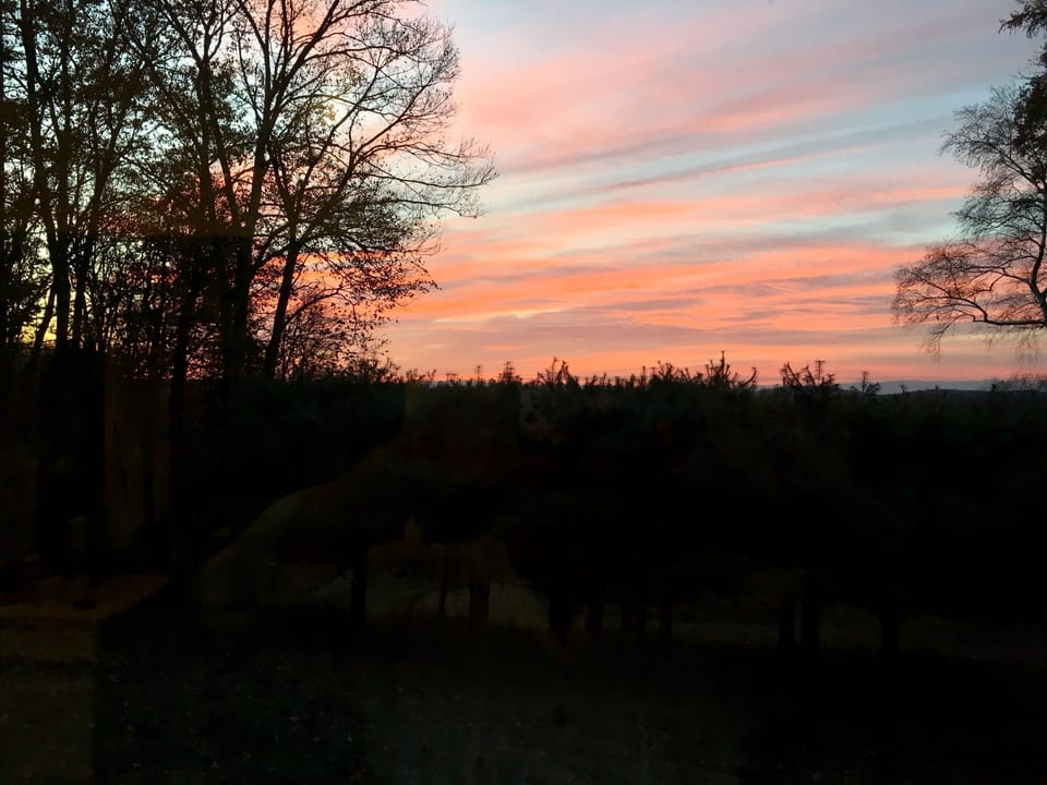 Summer sunsets
