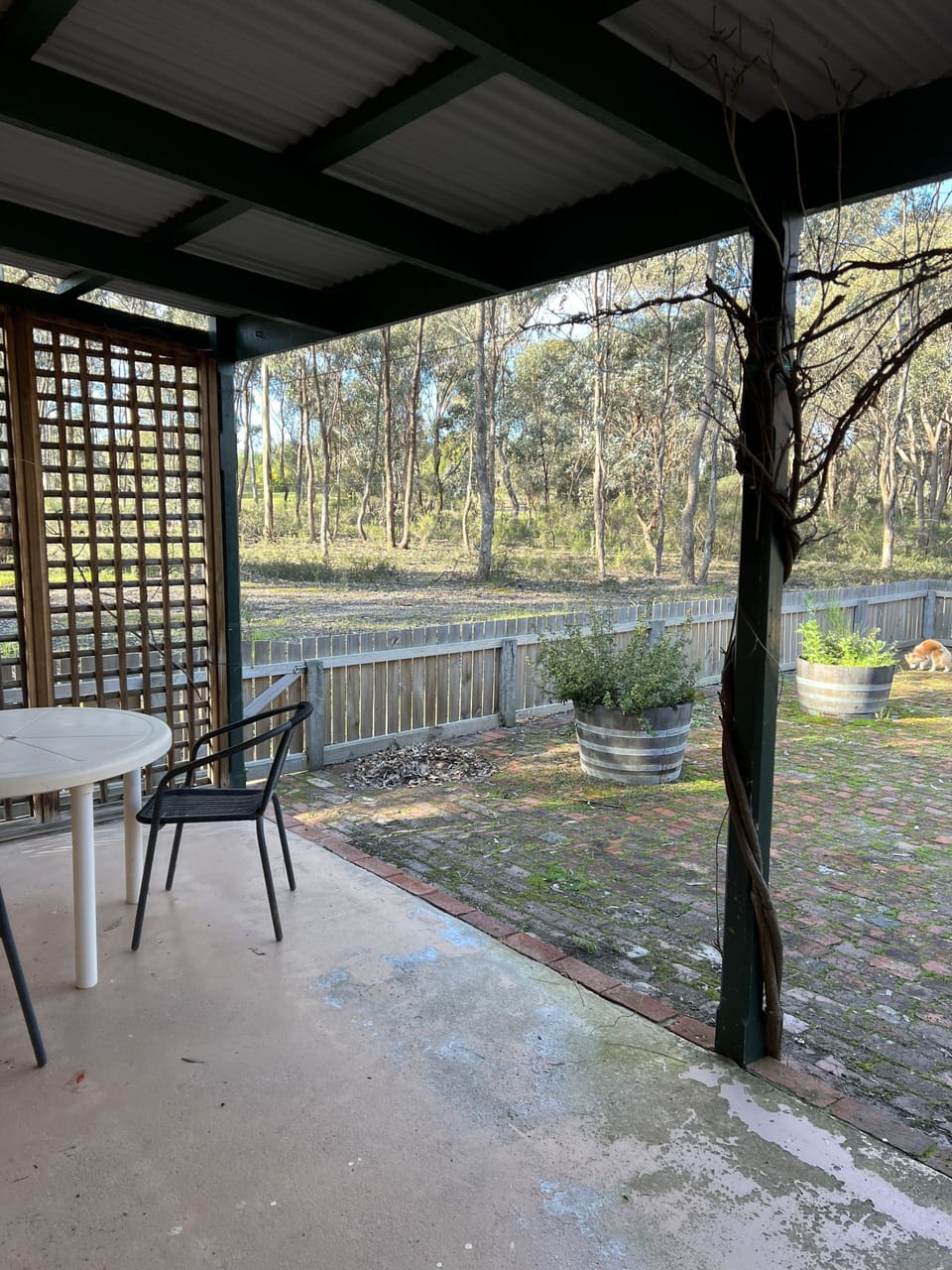 Outdoor dining