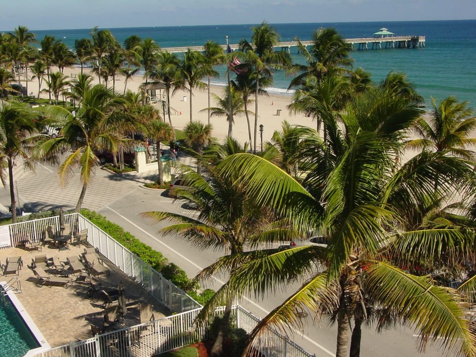 View from Roof top
