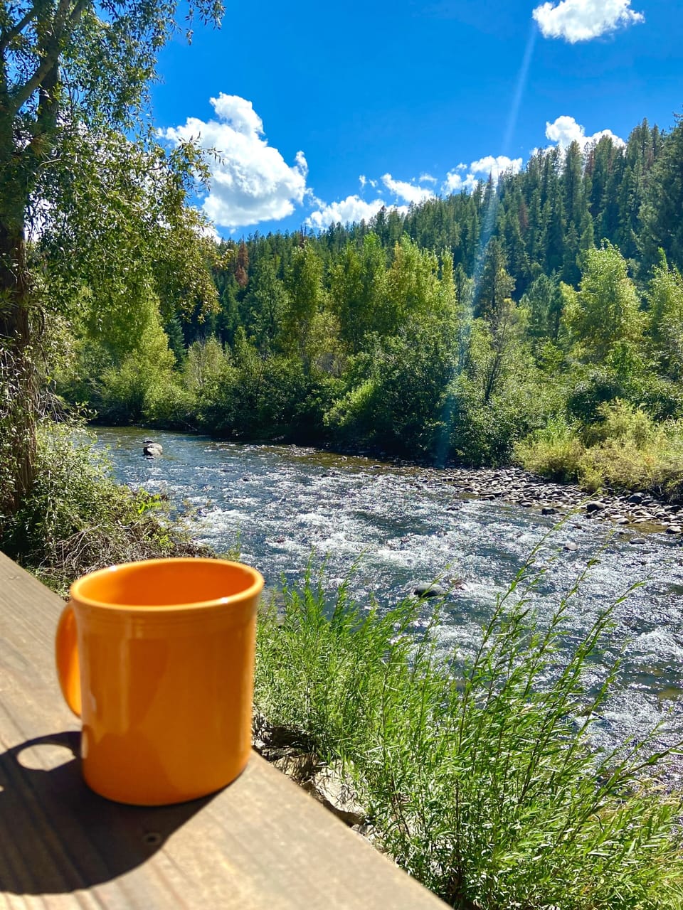 Wake up to your morning coffee overlooking the sights & sounds of the SJ RIVER! 