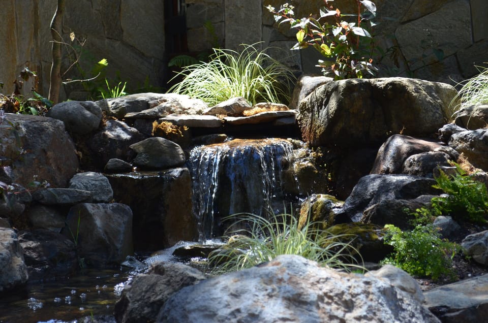 Water Feature
