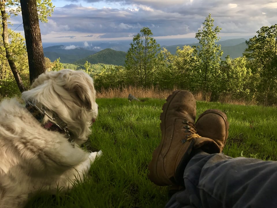 The view from beneath the deck at the High Carolew 