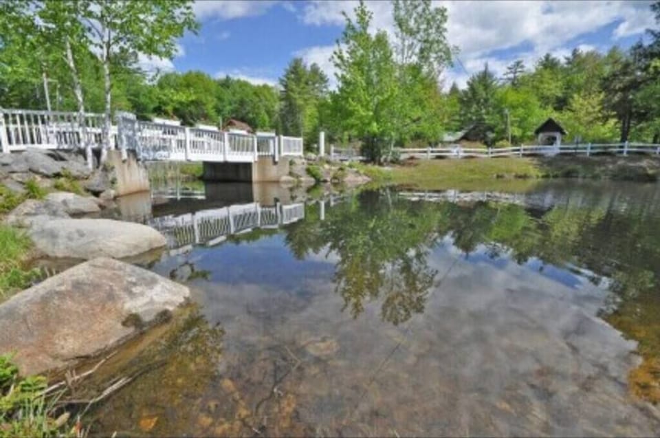 Footbridge and Lagoon