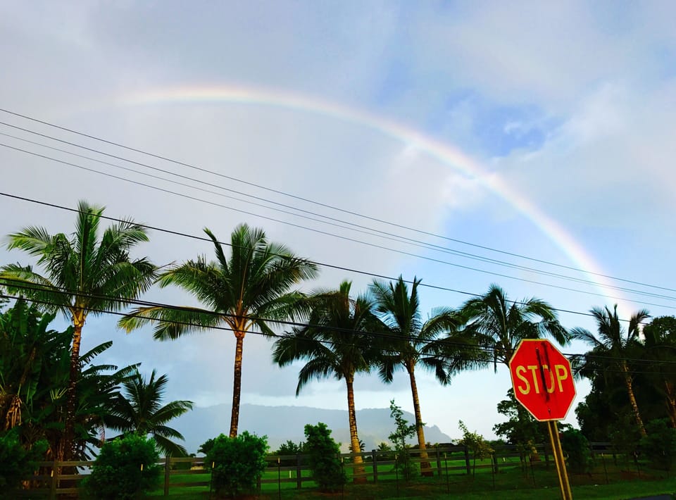 Rainbows across the street daily 