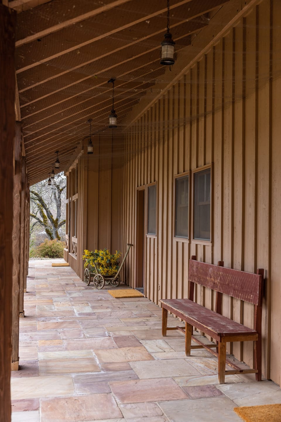 Path to screened porch.
