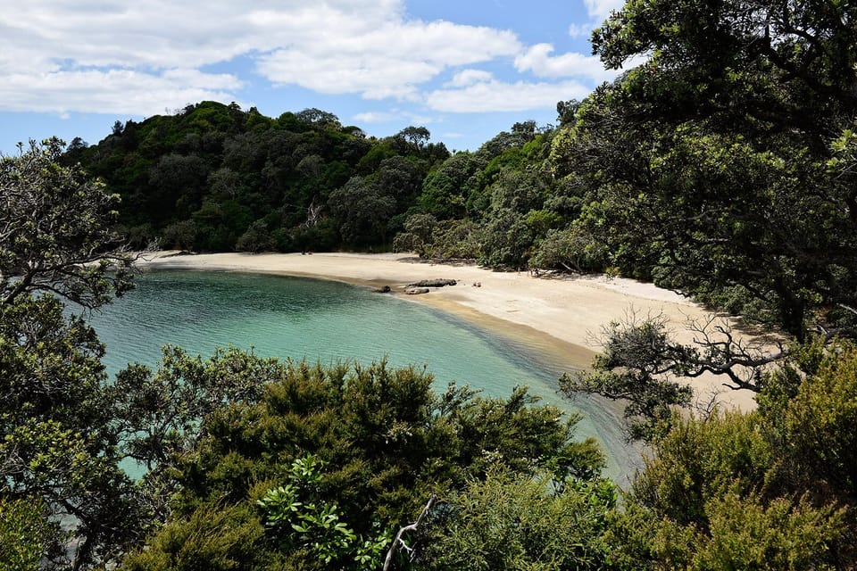 The nearby hidden jewel - Whale Bay