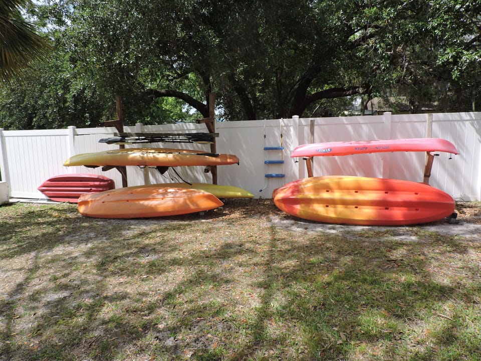 kayaks