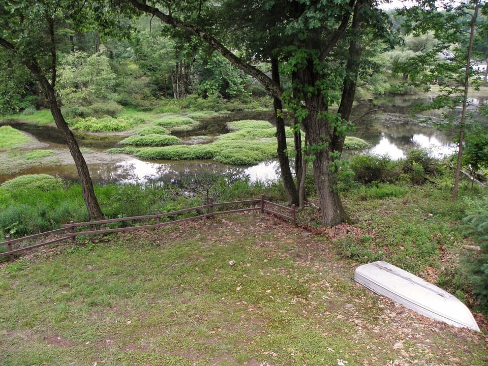 back lawn down to lake
