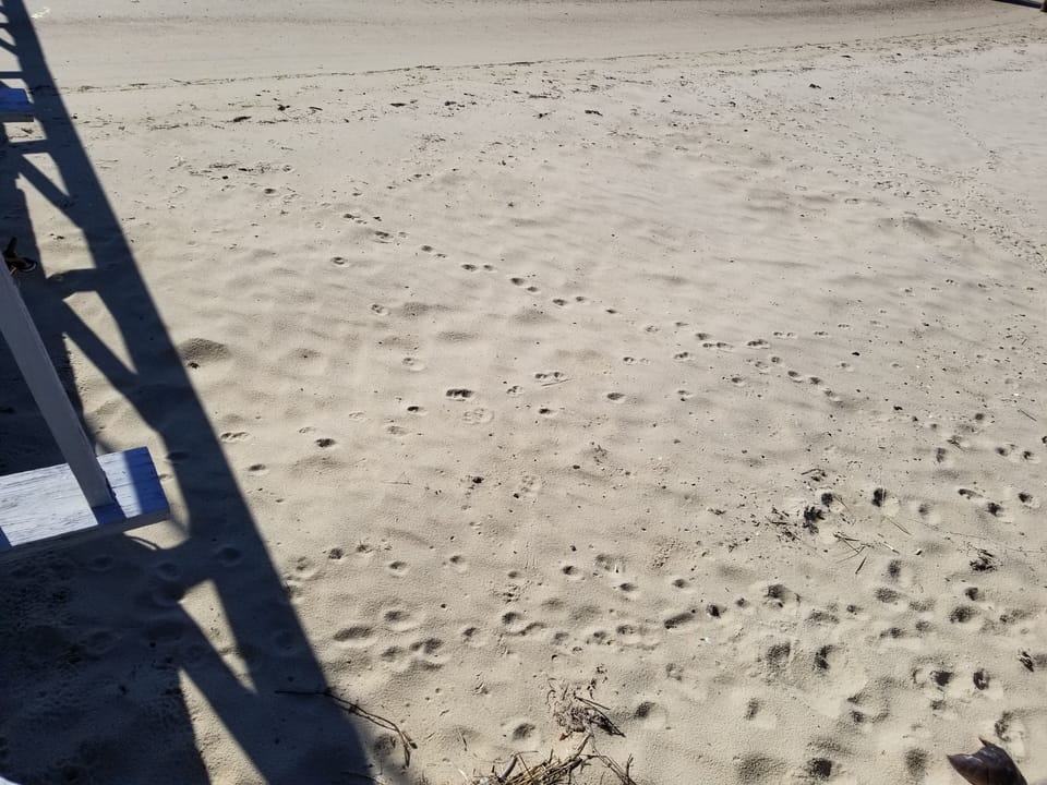 Your own private soft sandy beach just steps away :)