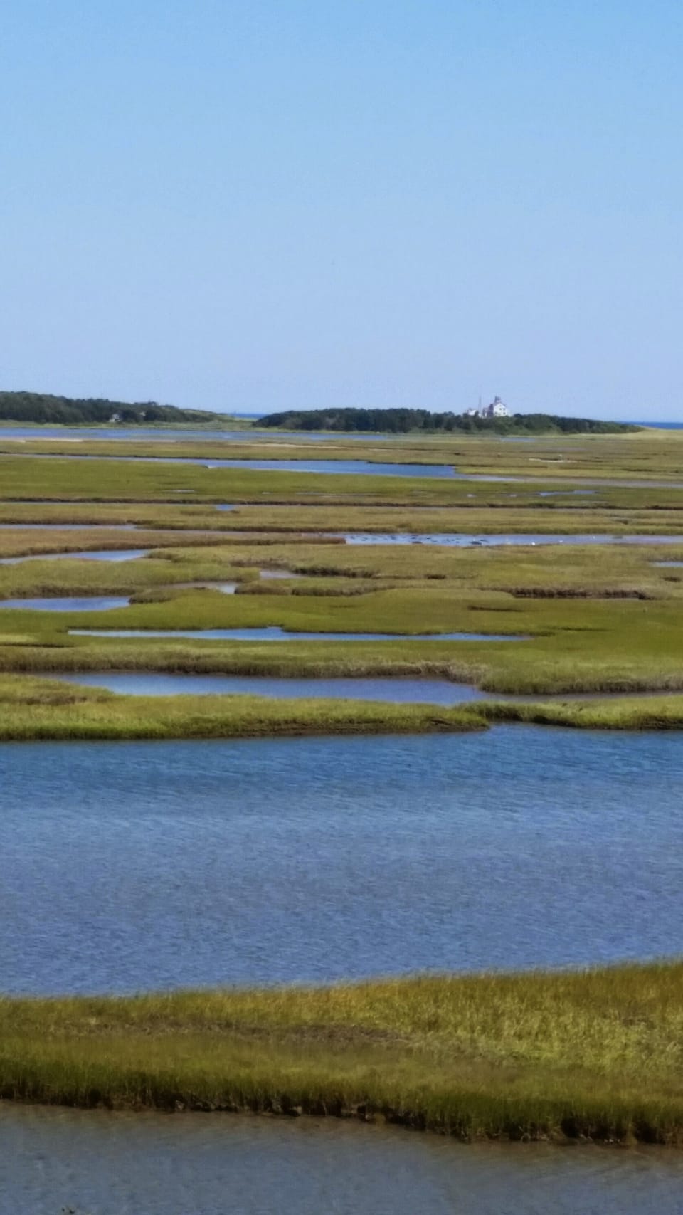 Nauset Marsh
