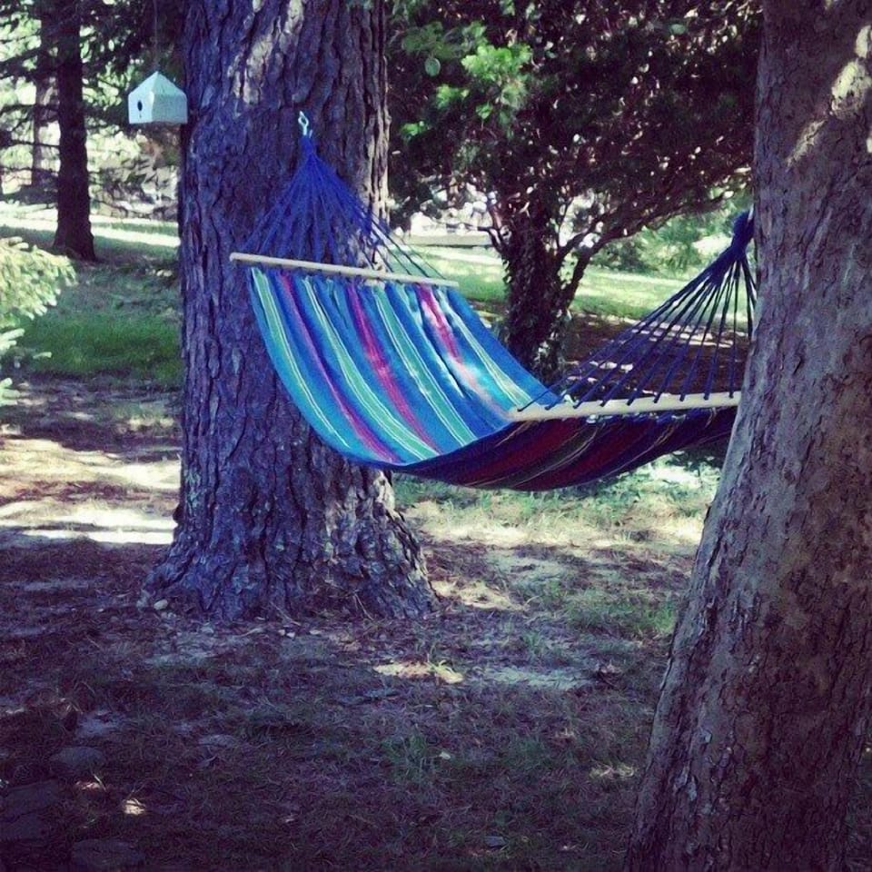 OK the cottage just became perfect.  Hammock to relax in.