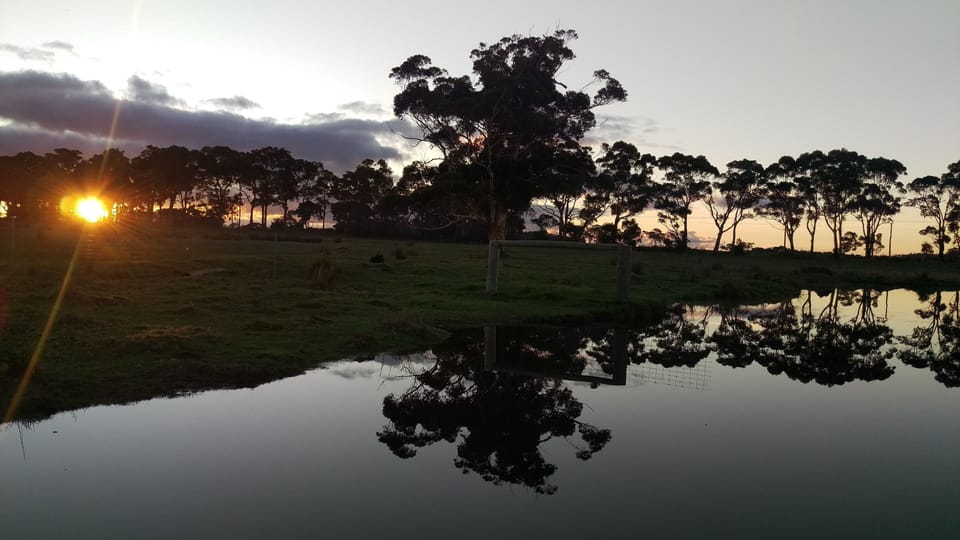 Reflections in the front dam