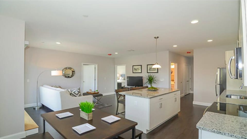 Living room / kitchen - 204