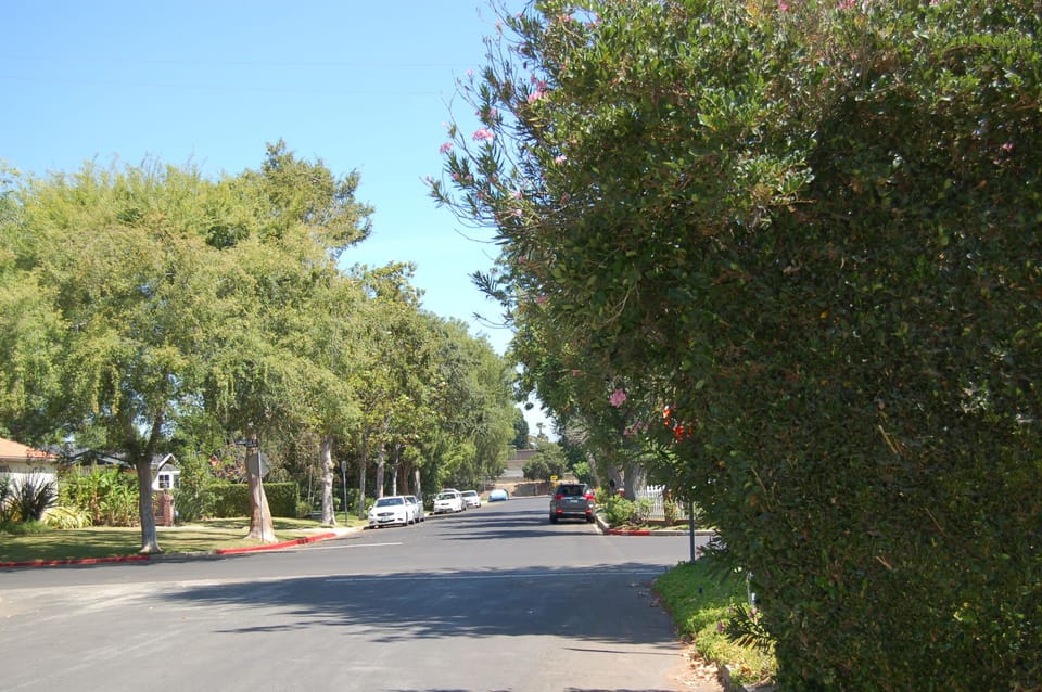 View of Norwih Ave