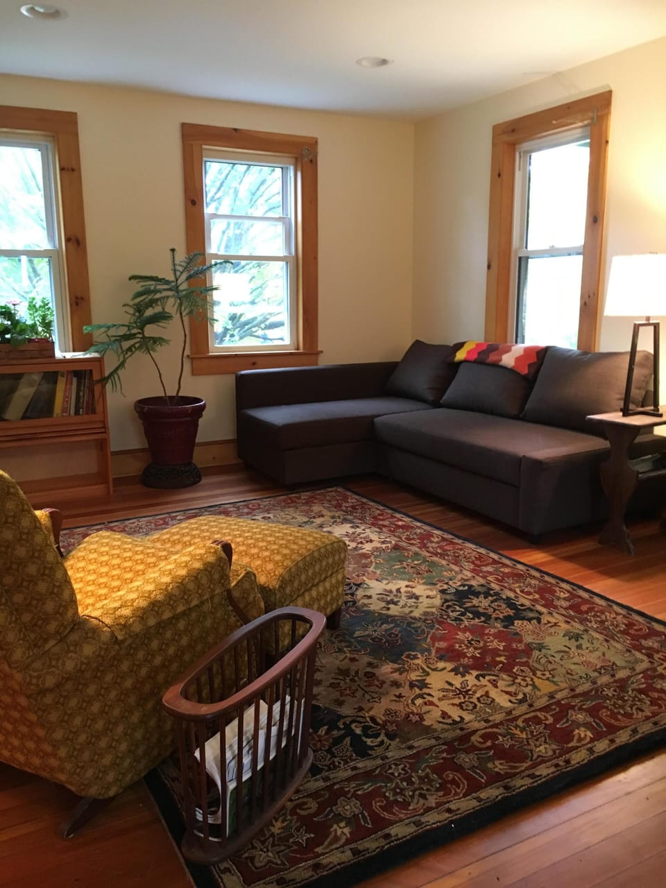 livingroom
new couch with pullout double bed