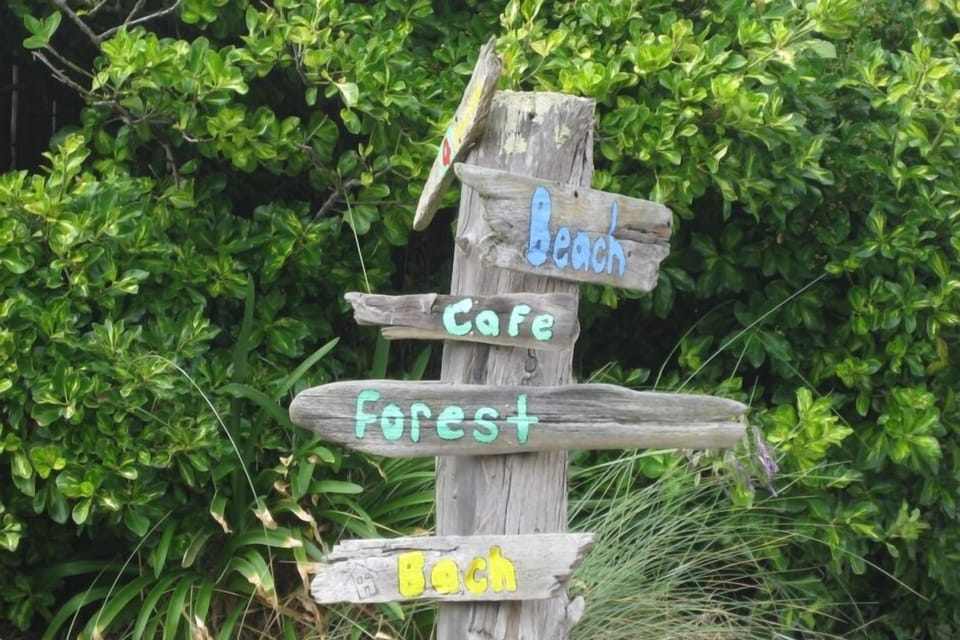 Which way to explore?