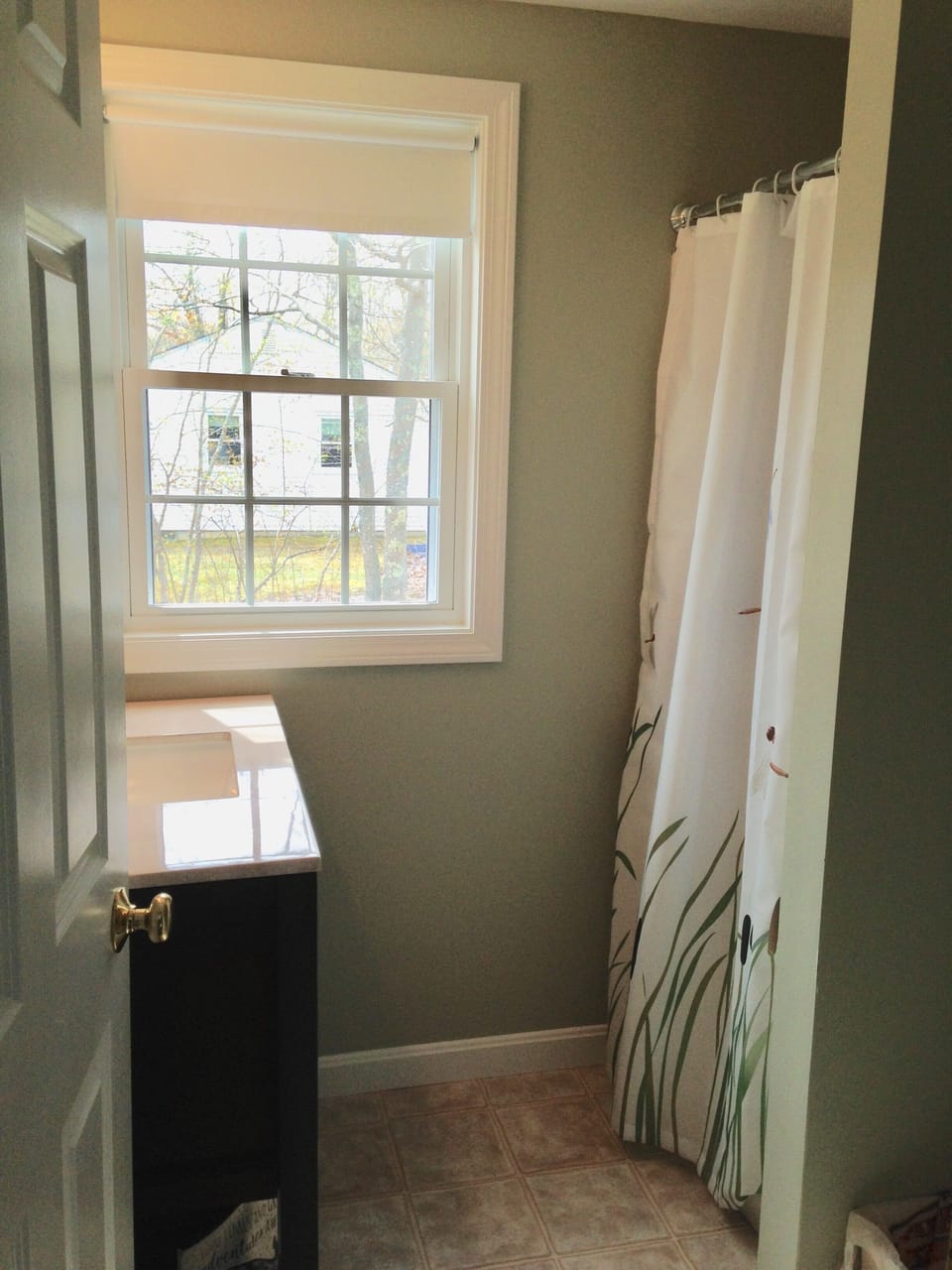 Master bathroom w/shower