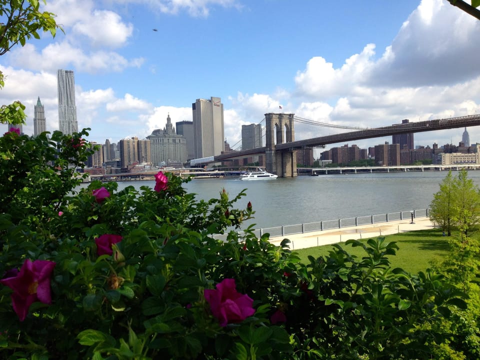 20 minutes walk to the brooklyn water front park