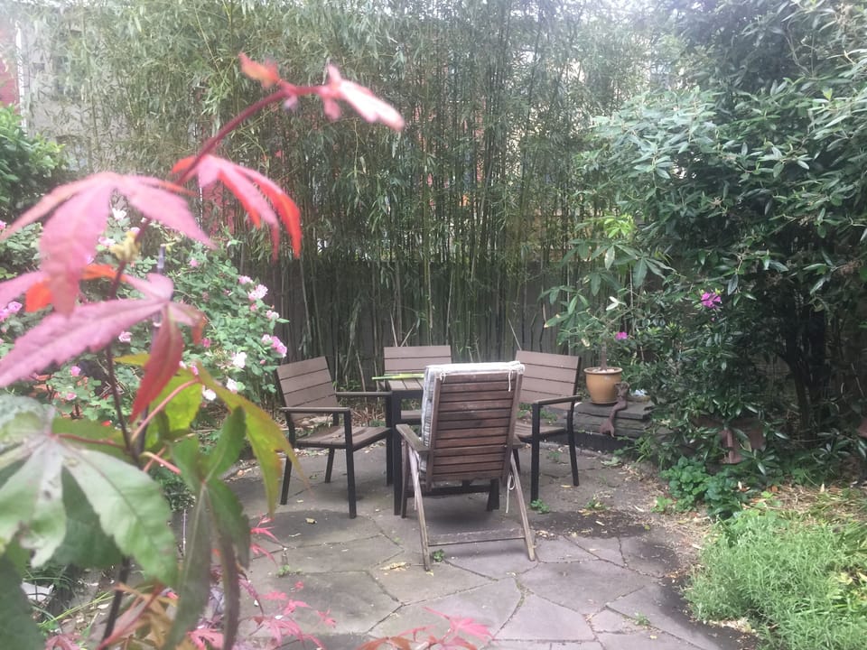 back garden