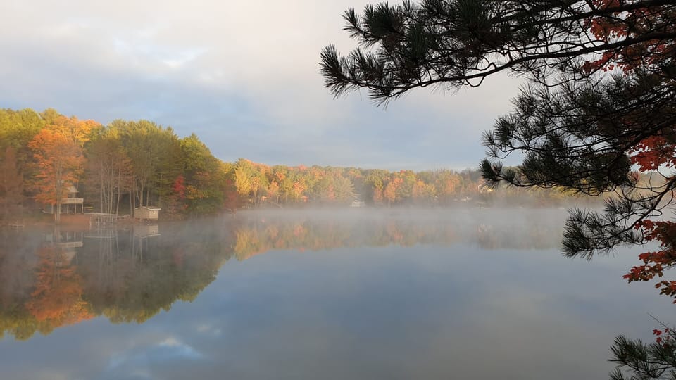 Fall colors.