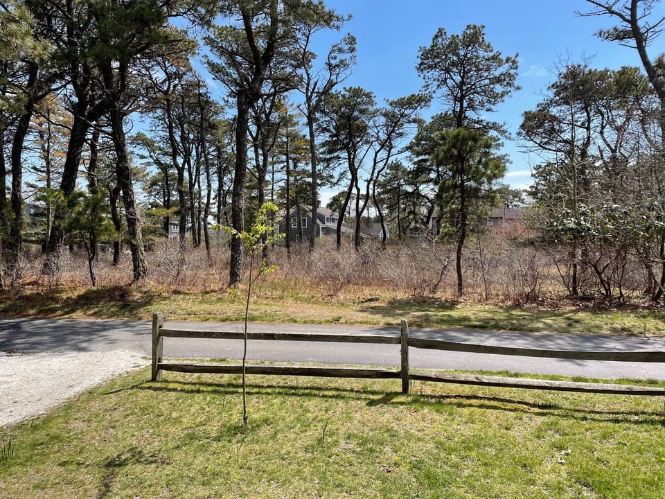 View from front door. House is situated on an undeveloped Grove.