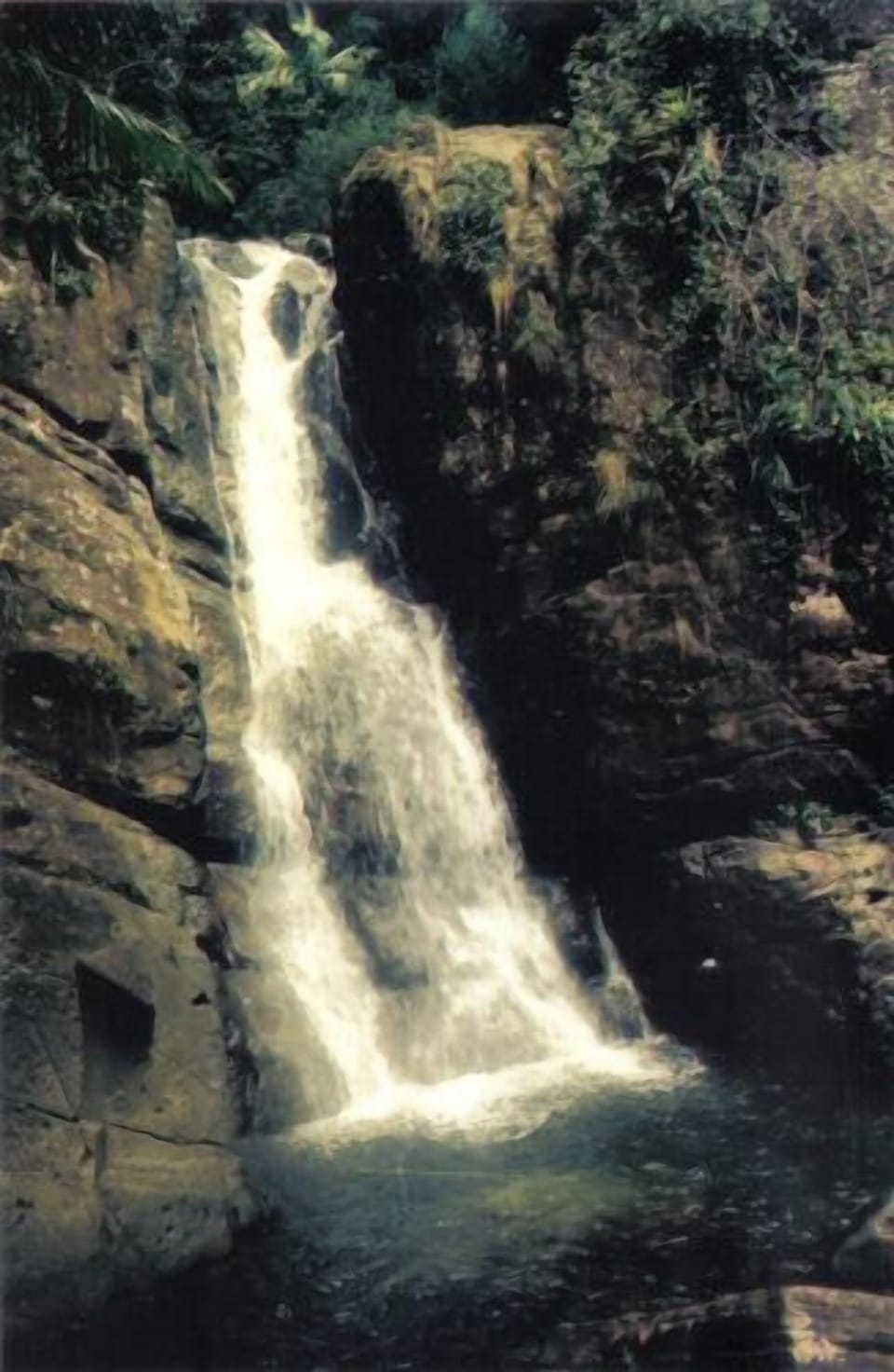 El yunque forest 23 mins away from house