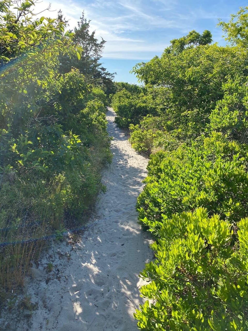 Walking path over the dune to the private beach